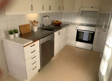 Otteshagen: Etta i lummigt område på nedre botten - Photo 4