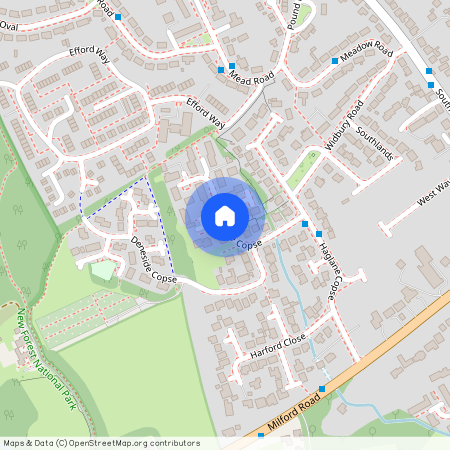 Little Dene Copse, Pennington, Lymington, Hampshire, SO41