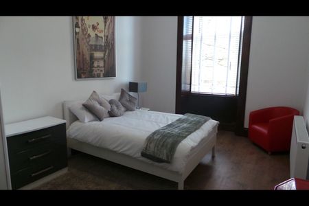 Studio Flat, Paisley Rd West, G51 - Photo 2