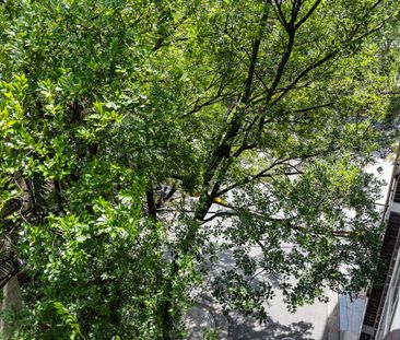 21/179 Darlinghurst Road, Darlinghurst NSW 2010 - Apartment For Ren... - Photo 2