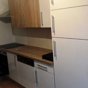 SchÃ¶ne 2 Raum Wohnung mit EinbaukÃ¼che in Zwickau Planitz ab 01.07. zu vermieten. - Foto 1