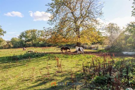 2 Bedroom House - Photo 3