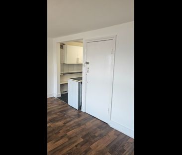 Studio Flat, Leytonstone Road, E15 - Photo 6