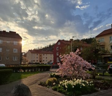 Mölndal - 1rok - tillsv - 8.625kr/mån - Foto 6