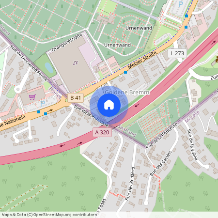 Bei der Goldenen Bremm 16, 66117 Saarbrücken-Mitte - Alt-Saarbrücken