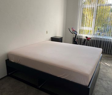 Midscheeps 136 - Photo 5