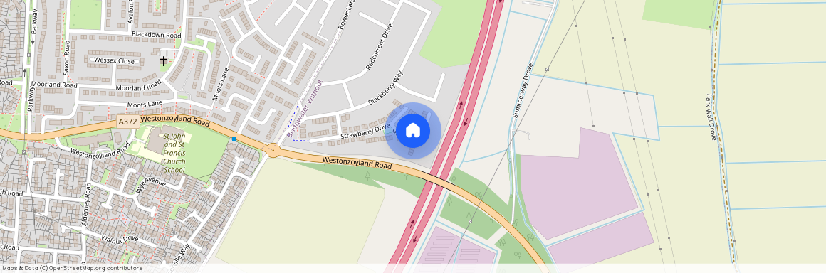 Goji Place, Birdgwater, TA6