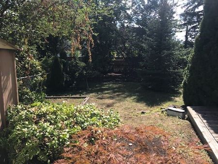 For Lease - 159 Avondale Avenue, Toronto, Ontario - Photo 3