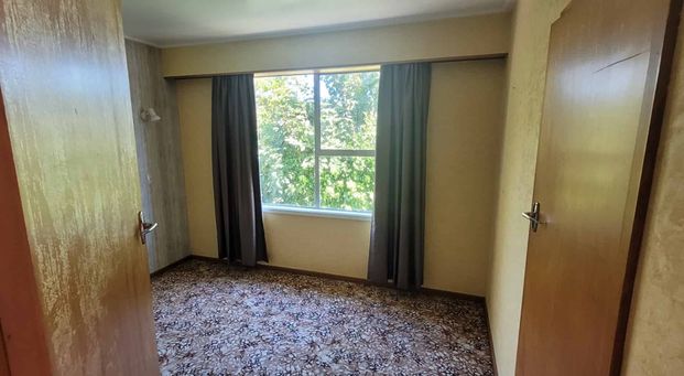 Hey hey its Albert! - Photo 1