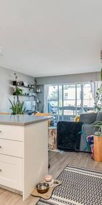 Beautiful Pet friendly suite 3 blocks from Kits Beach - Photo 4