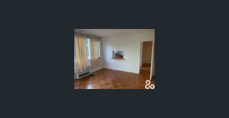 Spacious Light Filled Apartment! - Photo 4