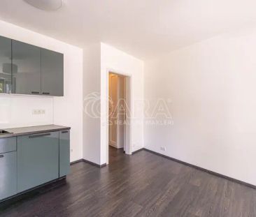 Pronájem bytu 3+kk, Olgy Havlové, Praha 3 - Žižkov - Fotografie 5