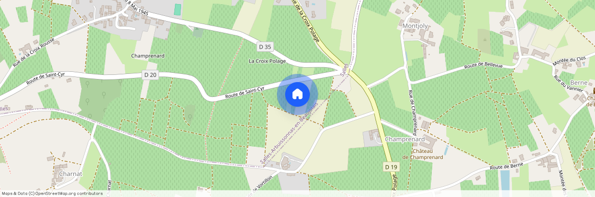 Salles-Arbuissonnas-en-Beaujolais (69460)