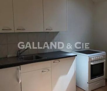 Magnifique loft au centre de Pully en attique - Photo 4