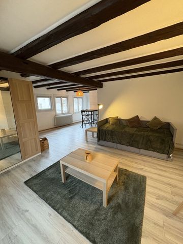 Appartement 1 pièce à Strasbourg - Photo 2