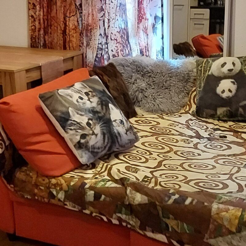 Nouveaux locataires recherchés pour top bon marché 2 Jour. Appartement à St. Gallen - Foto 1