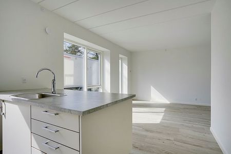 Remmerslund 1245-0 - Photo 4
