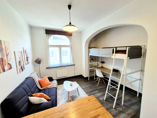 Appartement T1 Lille à louer - Photo 1