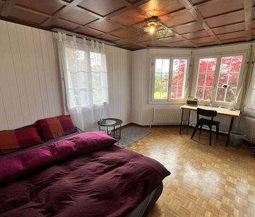 3-ROOM APARTMENT IN BALLWIL (LU), FURNISHED, TEMPORARY - Photo 5