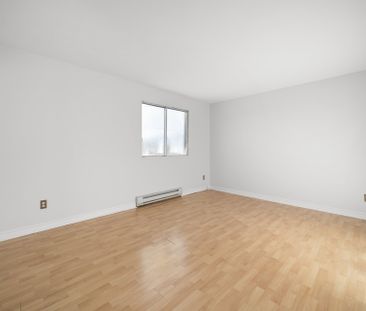 4740 Rue Anthime - Photo 5