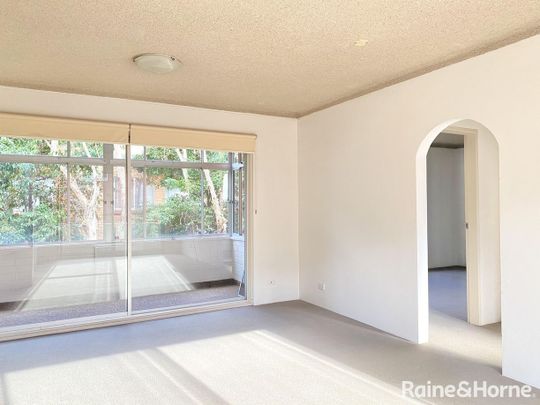 Furnished Two Bedroom Apartment in a quiet street - moments to UNSW, NIDA and Anzac Parade Amenities - Photo 1