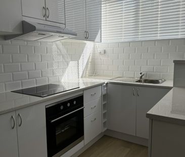 Fully Renovated Two Bedroom Unit - Photo 4