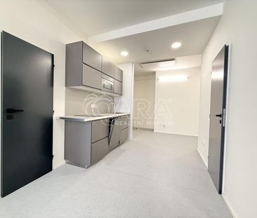 Pronájem bytu 1+kk a garsoniéry 55 m² - Fotografie 3