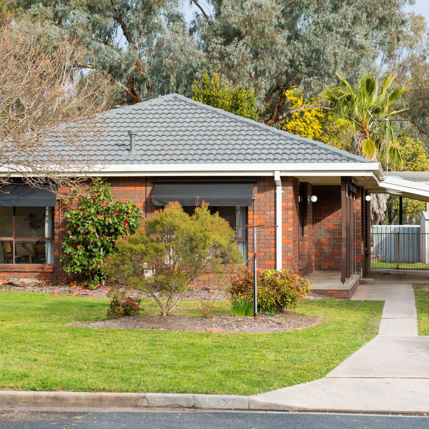 Sunny Sunwood! - Photo 1