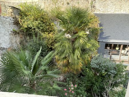 Location Appartement 3 pièces 52m² CHATEAU GONTIER 53200 - Photo 4