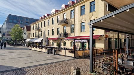 Lilla Kyrkogatan, Borås - Photo 5