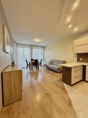 Ładne, ciche mieszkanie NA WYNAJEM! 2 pok, 50 m² - Zdjęcie 1