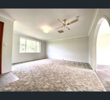 16 Jemmy Pl, Tamworth, NSW 2340 - Photo 5