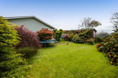 4 Murray Ave,Hawera - Photo 4