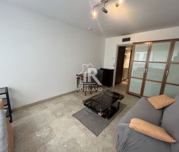 Location Appartement 1 pièce 23m² NICE 06000 - Photo 3