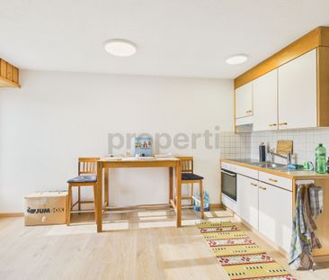 Modern 1-room apartment with first-class connection, Amlikon-Bissegg - Photo 3
