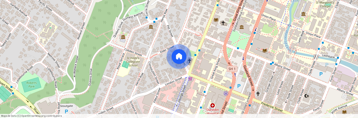 8 Pitt Street, Dunedin