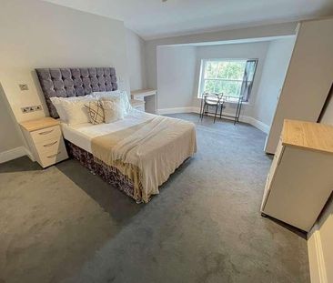 Upper Parliament Street, L8 - Photo 3