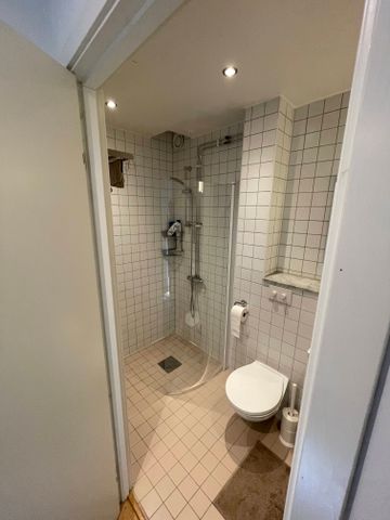 Plåtmyntsgatan, Göteborg - Photo 5