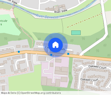 Coltpark Woods, Hamsterley Colliery - Photo 1