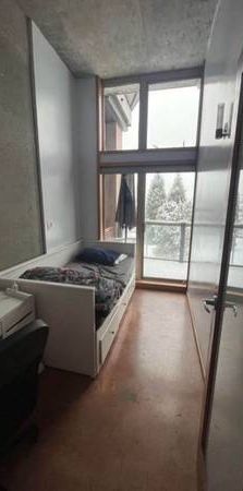 Roommate wanted for Jan 1, close to downtown - Photo 1