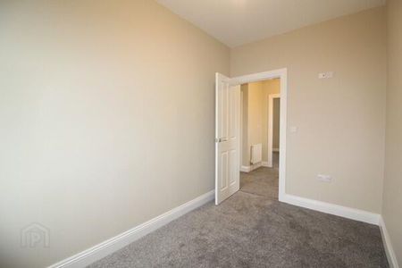 15 Sir Richard Wallace Gardens, Lisburn, BT28 3FL - Photo 4