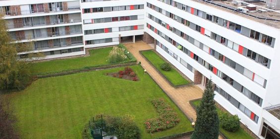 Location Appartement 1 pièce 20m² LILLE 59000 - Photo 3
