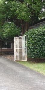 35 Bowerman Place, Cherrybrook NSW 2126 - House For Rent | Domain - Photo 3