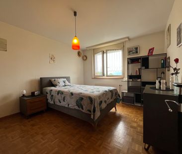 Spacieux 2.5 pièces en cours de rénovation partielle - Photo 3