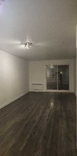 4 1/2 avec 2 chambres. Chat accepté - Photo 1