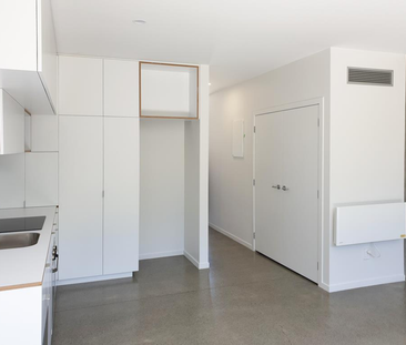 Petone Living - Photo 4