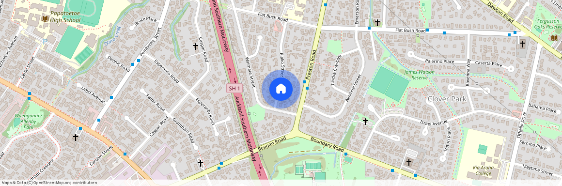 32 Piako Street, Otara, Manukau City