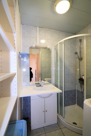 Location Appartement 2 pièces 52m² GRENOBLE 38100 - Photo 5