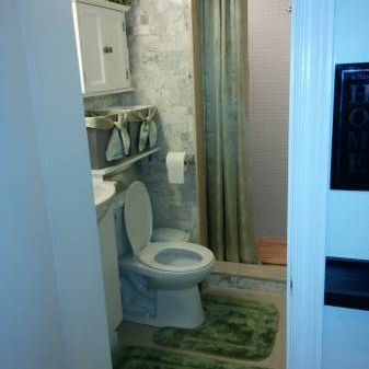 Small Batchelor w Bath&Kitchinette $700 Humber-Lakeshore - Photo 3