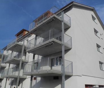 2.5 Zimmer, 53 m², EG - Foto 5
